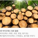 주식회사 플랜드 이미지