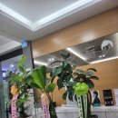 베스탑비뇨기과의원 이미지