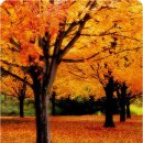 구월4동-24 이미지