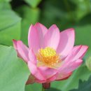 대유한의원 - 도봉구 삼양로 582 | 대유한의원