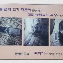 만수성심외과의원 이미지