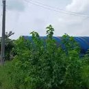 중광농장 이미지