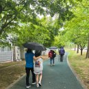 6월 유유자적 걷는다-영광 물무산 행복숲 이미지
