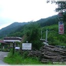 새밭식당 이미지