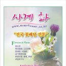 꽃집;사계 이미지