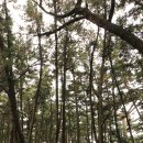 희리산자연휴양림 당일 생 후기 4월 4일 (수)