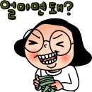 성모맑은눈안과 이미지