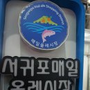 마실디 이미지