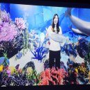 씽씽 노래연습장 | 주말 드라이브 ★