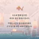더도도 이미지