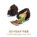 지성메디텍 | [저자극각질토너] 브에노 캑터스 필링퓨어토너 :: 저자극보습토너로 피부관리하자ღ(ºωºღ)♥