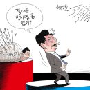 311 경기신문