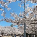 경화역 쉼터 이미지