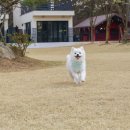 귀래630