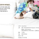 쭈니앤수