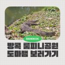 마리공원 | 방콕 여행 룸피니공원갔다 도마뱀 수십마리 본 후기