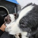 약산농장 이미지