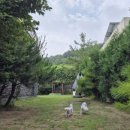 토토멍 애견풀빌라 이미지