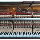 이안리폼 이미지