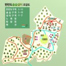 강원도 영월 캠핑 ｜ 반려동물 동반 캠핑장 한반도솔숲쉼터캠핑장(한반도-08사이트 후기,주변관광지)