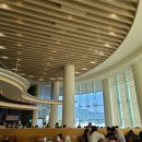 셰프스키친 이미지