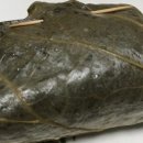 도장골농장 이미지