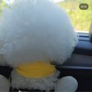 멍냥이네 구멍가게 | 강아지쿨스카프 첫 판매 후기