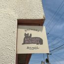여수 고소동 베이커리 [벌스데이 베이글] 다녀온 후기