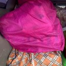 풍성이불집 이미지