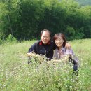 용옥농장 이미지