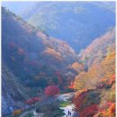 강천산군립공원 이미지