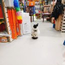 우진철물건재 이미지