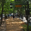 철쭉동산 이미지