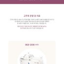 협진부분정비 이미지