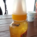 용자농장 이미지