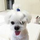 상구스타일 이미지