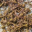 순박산골 이미지