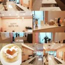 파티엔젤 &amp;쿠킹스튜디오 초보자도 쉽게 배울 수 있는 이유
