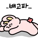 금동헬스 이미지