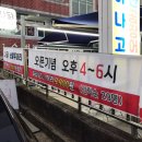 샤닭남천