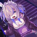 B.S 소프트 이미지