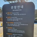 평화로02 | 이 가격에 이 퀄리티? 경기북부어린이박물관 실패 없는 방문 가이드