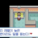 상록체육관 이미지