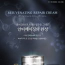 브랜뉴리페어 서울경제
