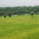 공하나협동조합 이미지