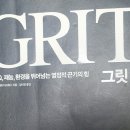 그릿(Grit) 이미지
