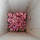 우리식자재마트 이미지