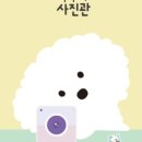 두부네사진관