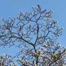 우성골드공인중개사사무소 이미지