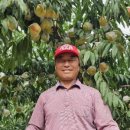 홍현농장 이미지